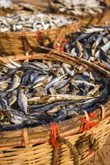 Negombo Prints: Fish drying in baskets at Negombo fish market (Lellama fish market)