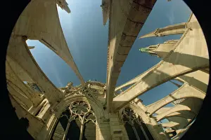 Pari Prints: Fish eye lens view of the flying butresses of Notre Dame Cathedral, Paris, France, Europe