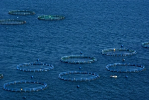 Fish farm, Costa Aguilera