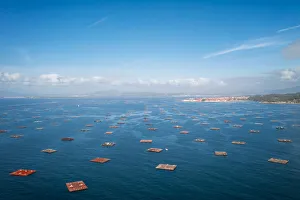Fish farm, drone panorama view, in the Atlantic Ocean, Arousa Island, Galicia, Spain