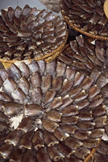 Sea Food Prints: Fish laid out in patterns in baskets in a street market in Bangkok