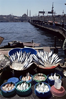 Fish market