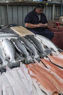 Chilean Prints: The fish market in Castro, Chiloe, Patagonia, Chile, South America