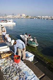 Stalls Prints: Fish market, Doha harbour, Doha, Qatar, Middle East