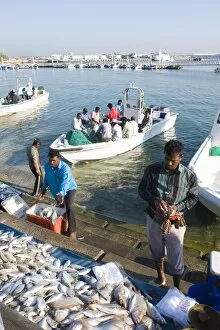 Images Dated 22nd November 2007: Fish market, Doha harbour, Doha, Qatar, Middle East