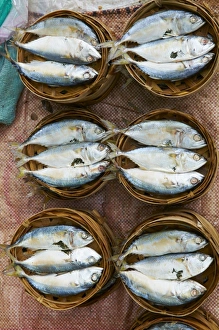 Directly Above Prints: Fish market, Luang Prabang, Laos, Indochina, Southeast Asia, Asia