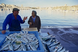 Marseille Prints: Fish market, Vieux Port, Marseille, Provence, France, Mediterranean, Europe