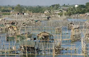 Gulf Prints: Fish pens in channel through wetlands at south end of Lingayen Gulf, near Dagupan