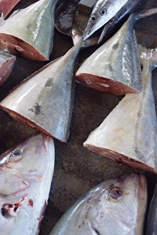 Sea Food Prints: Fish for sale