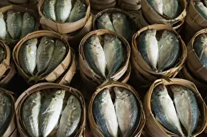 Fishes Prints: Fish sold in bamboo containers ready for steaming at Talat Thong Khan Kham market