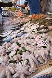 Fish stall in street market