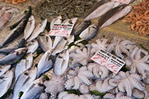 Syracuse Prints: Fish stall in street market