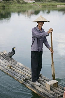 Cormorant Prints: Fisherman with cormorant, Li River, Yangshuo, Guangxi Province, China, Asia