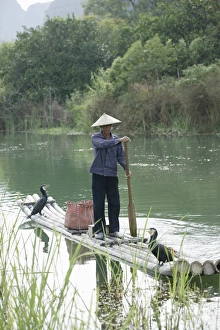 Fisherman with cormorants, Yangshuo, Li River, Guangxi Province, China, Asia