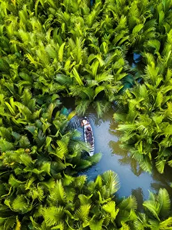 Fisherman Prints: Fisherman fishing in the middle of nipa palm forest, Quang Ngai, Vietnam, Indochina
