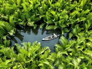 Fisherman fishing in the middle of nipa palm forest, Quang Ngai, Vietnam, Indochina