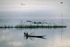 Images Dated 10th March 2005: Fisherman, Inle Lake, Shan State, Myanmar (Burma), Asia