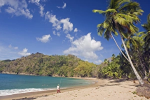 Tobago Prints: Fisherman on a palm-fringed beach, Englishmans Bay, Tobago, Trinidad and Tobago