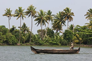 Stereotypically Indian Prints: Fisherman in traditional boat on the Kerala Backwaters, Kerala, India, Asia