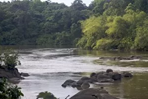 Fishermen on the Approuague River, French Guiana, South America