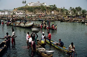 Fishing Prints: Fishermen bringing catch ashore, Elmina, Ghana, West Africa, Africa
