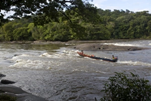Images Dated 5th December 2009: Fishermen going against the rapids on the Approuague River, French Guiana, South America