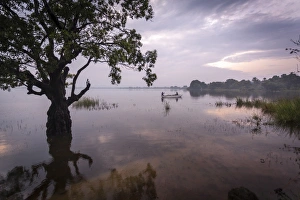 Polonnaruwa Prints: Fishermen return at dusk, Polonnaruwa Lake, Polonnaruwa, Sri Lanka, Asia