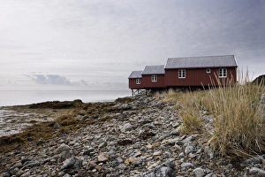 Fishing Cabin Prints: Three fishermens cabins (rorbuer), Lofoton Islands, Norway, Scandinavia, Europe