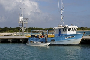 Barbuda Prints: Fishing boat in harbour in Barbuda