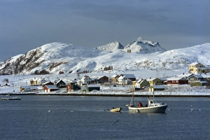 Kvaloya Prints: Fishing boat leaving harbour on Kvaloya Island
