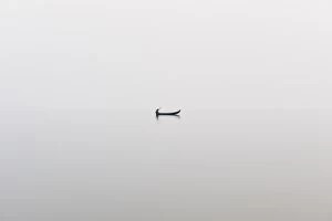 Images Dated 21st March 2010: A fishing boat on a perfectly calm Indawgyi Lake in northern Myanmar on a misty afternoon