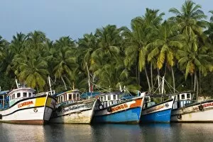 Fishing boats along the Backwaters, near Alappuzha (Alleppey), Kerala, India, Asia