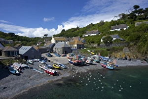 Fishing boats on the beach at Cadgwith, Lizard Peninsula, Cornwall, England