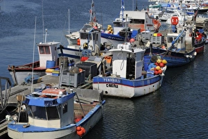 Concarneau Prints: Fishing boats, Concarneau, Finistere, Brittany, France, Europe