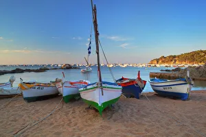 Costa Brava Prints: Fishing boats at dawn, Calella de Palafrugell