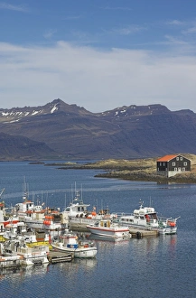 Fishing boats in Djupivogur harbour