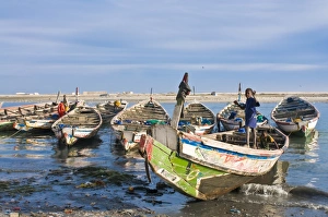 Boys Prints: Fishing boats in the habour of Nouadhibou, Mauritania, Africa