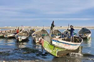 Images Dated 6th February 2008: Fishing boats in the habour of Nouadhibou, Mauritania, Africa