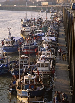 Fishing boats in harbour, Boulogne, Pas de Calais, Nord, France, Europe