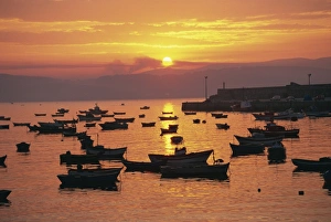 Silhouettes Prints: Fishing boats in harbour, Finisterre (Fisterra), Galicia, Spain, Europe