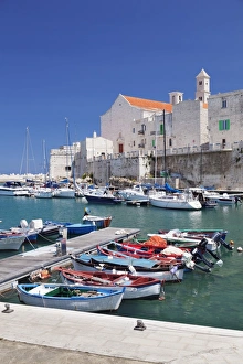 Fishing boats at the harbour, old town with cathedral, Giovinazzo, Bari district