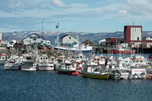 Iceland Gallery: Fishing boats in the harbour at Patreksfjordur, West Fjords, Iceland, Polar Regions