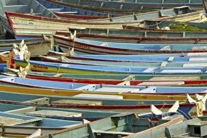 Fishing boats in harbour, Vizhinjam, Trivandrum, Kerala, India, Asia