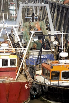 Fishing Industry Prints: Fishing boats in the harbour, Whitstable, Kent, England, United Kingdom, Europe