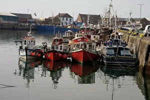 Jetty Gallery: Fishing boats, Howth harbour, County Dublin, Republic Ireland, Europe