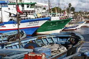 Search Results: Fishing boats, Kelibia Harbour, Tunisia, North Africa, Africa