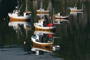 Trawler Prints: Fishing boats in Moskenes