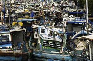 Crowded Prints: Fishing boats at Negombo lagoon, Negombo, Sri Lanka, Asia