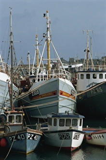 Fishing Fleet Prints: Fishing boats, Newlyn, Cornwall, England, United Kingdom, Europe
