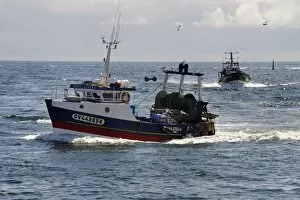 Images Dated 2nd July 2009: Fishing boats returning to harbour, Guilvinec, Finistere, Brittany, France, Europe